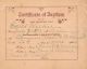 Certificate of Baptism, Edith Wilkie (Sumner Place ME Church, Buffalo, NY)